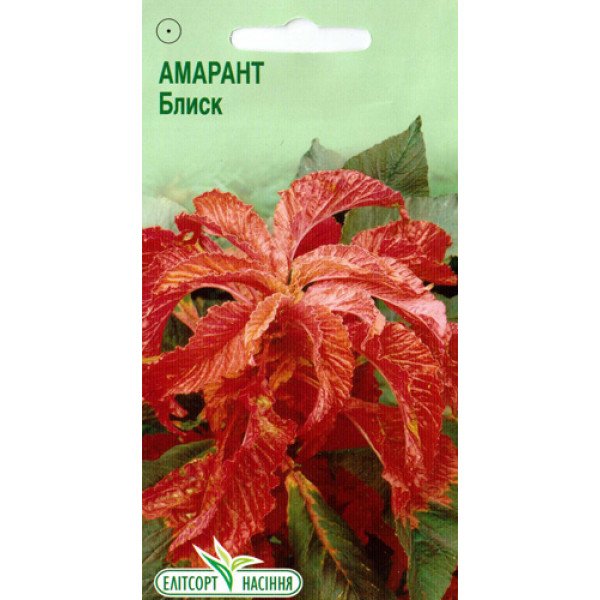Насіння амаранту Блиск /10 насінин/ *ЕлітСорт*