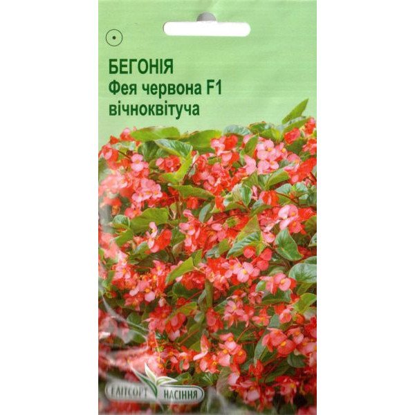 Насіння бегонії Фея F1 червона /5 насінин/ *ЕлітСорт*