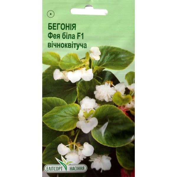 Насіння бегонії Фея F1 біла /5 насінин/ *ЕлітСорт*