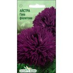 Айстра Гала фіолетова /10 насінин/ *ЕлітСорт*