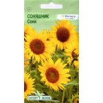 Соняшник Соня /10 насінин/ *ЕлітСорт*