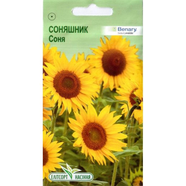 Семена подсолнечника Соня /10 семян/ *ЭлитСорт*
