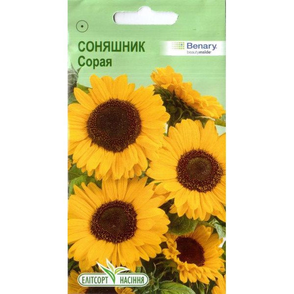 Насіння соняшника Сорая /10 насінин/ *ЕлітСорт*