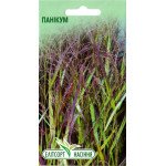 Панікум (просо фіолетове) /0,5 г/ *ЕлітСорт*