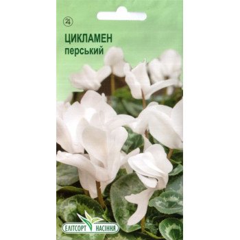 Цикламен Аполлон /5 насінин/ *ЕлітСорт*