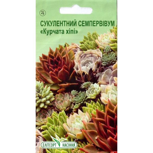 Семена семпервивума Цыплята Хиппи /10 семян/ *ЭлитСорт*