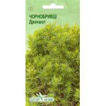 Чорнобривці Дропшот /10 насінин/ *ЕлітСорт*