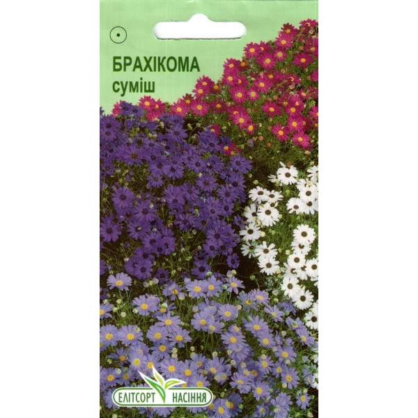 Насіння брахікоми суміш /0,1 г/ *ЕлітСорт*