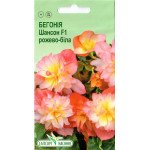 Бегонія Шансон F1 рожево-біла /10 насінин/ *ЕлітСорт*