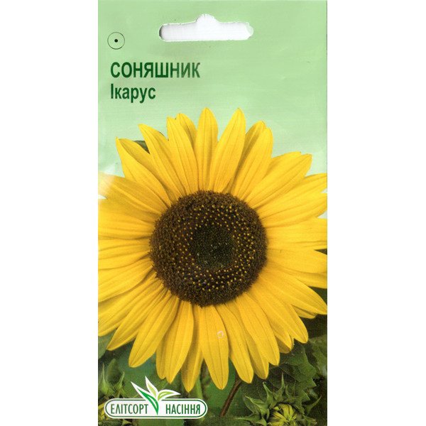 Насіння соняшнику Ікарус /1 г/ *ЕлітСорт*