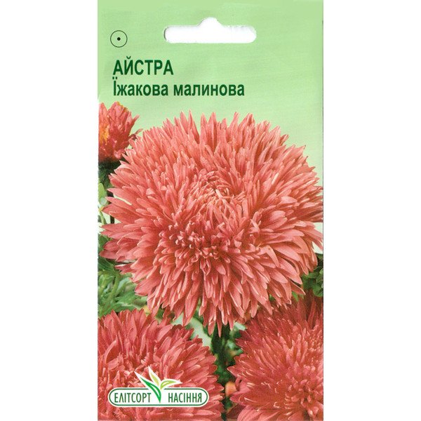 Насіння айстри Їжакова малинова /0,2 г/ *ЕлітСорт*