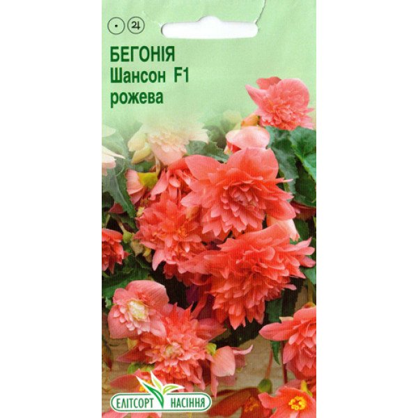 Насіння бегонії Шансон F1 рожева /10 насінин/ *ЕлітСорт*