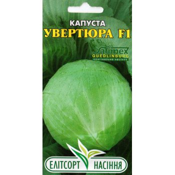 Капуста білоголова Увертюра F1 /20 насінин/ *ЕлітСорт*