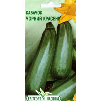 Кабачок Чорний Красень /20 насінин/ *ЕлітСорт*