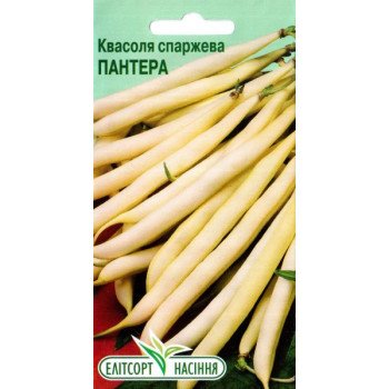 Квасоля Пантера /15 насінин/ *ЕлітСорт*