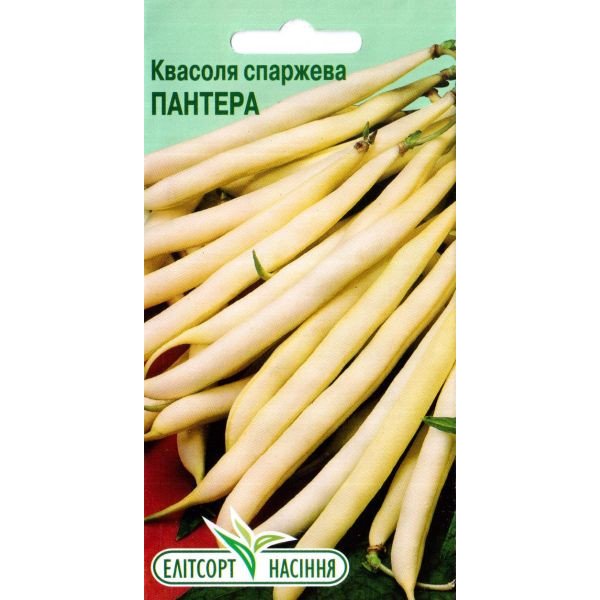 Насіння квасолі Пантера /15 насінин/ *ЕлітСорт*
