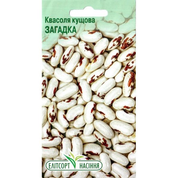 Насіння квасолі Загадка /15 насінин/ *ЕлітСорт*