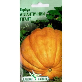 Тыква Атлантический гигант /20 семян/ *ЭлитСорт*