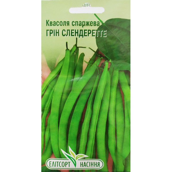 Насіння квасолі Грін Слендеретте /15 насінин/ *ЕлітСорт*