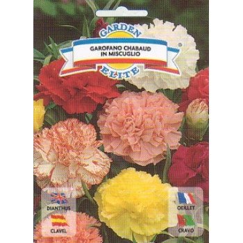 Гвоздика шабо суміш /0,5 г/ *Garden Elite*