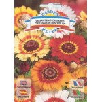 Хризантема карината Трехцветная смесь /1,5 г/ *Garden Elite*