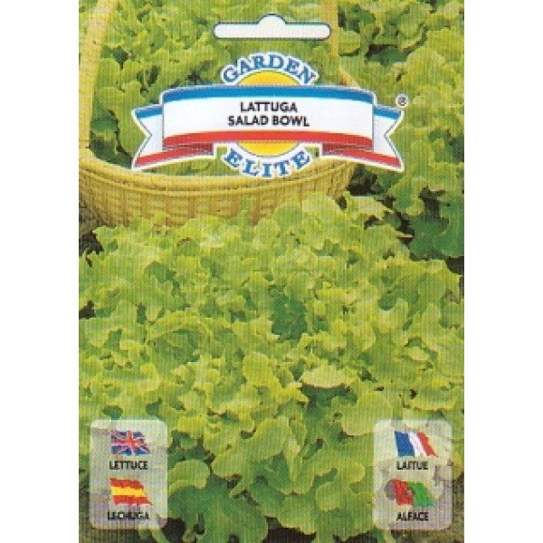 Насіння салату Салад бовл /6 г/ *Galassi sementi*