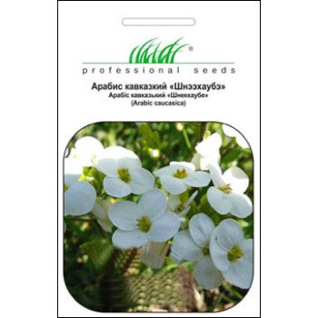 Арабис кавказский Шнээхаубэ белый /0,1 г/ *Профессиональные семена*