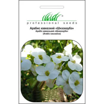 Арабис кавказский Шнээхаубэ белый /0,1 г/ *Профессиональные семена*