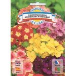 Флокс великоквітковий суміш /0,6 г/ *Garden Elite*