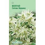 Молочай Снежная вершина /10 семян/ *ЭлитСорт*