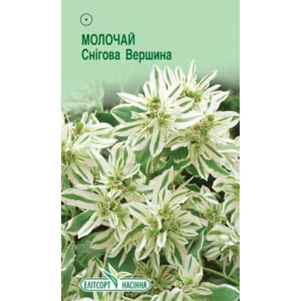 Семена молочая Снежная вершина /10 семян/ *ЭлитСорт*