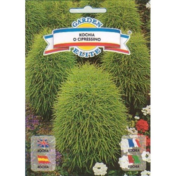 Кохія /1 г/ *Garden Elite*