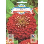 Цинія махрова Квітка Даліди червона /1 г/ *Garden Elite*