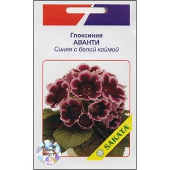 Глоксинія Аванті синя з білою облямівкою /10 насінин/ *АгроПак*