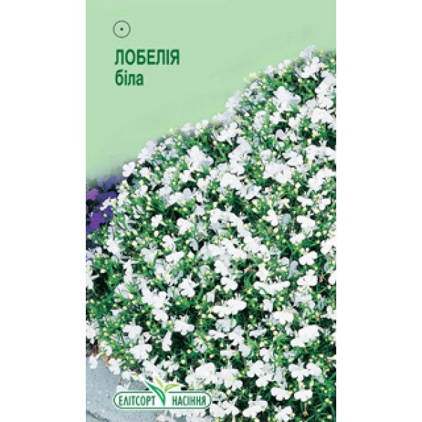 Насіння лобелії білої /0,05 г/ *ЕлітСорт*