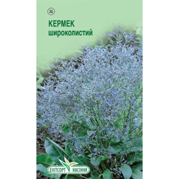 Семена кермека широколистного /0,02 г/ *ЭлитСорт*