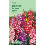 Пестемон Хартвега смесь /0,05 г/ *ЭлитСорт*