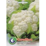 Капуста цвітна Тардіво ді фано /2 г/ *Galassi sementi*