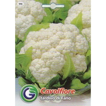 Капуста цветная Тардиво ди фано /2 г/ *Galassi sementi*