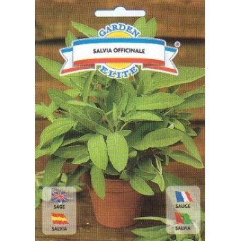 Шалфей Сальвиа /1 г/ *Garden Elite*