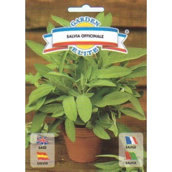 Семена шалфея Сальвиа /1 г/ *Garden Elite*