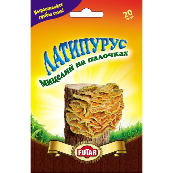 Міцелій гриба Латипурус /20 паличок/ *Futar*