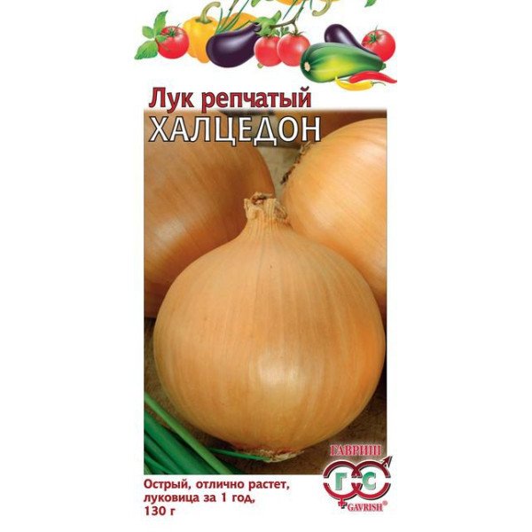 Насіння цибулі Халцедон /1 г/ *Гавриш*
