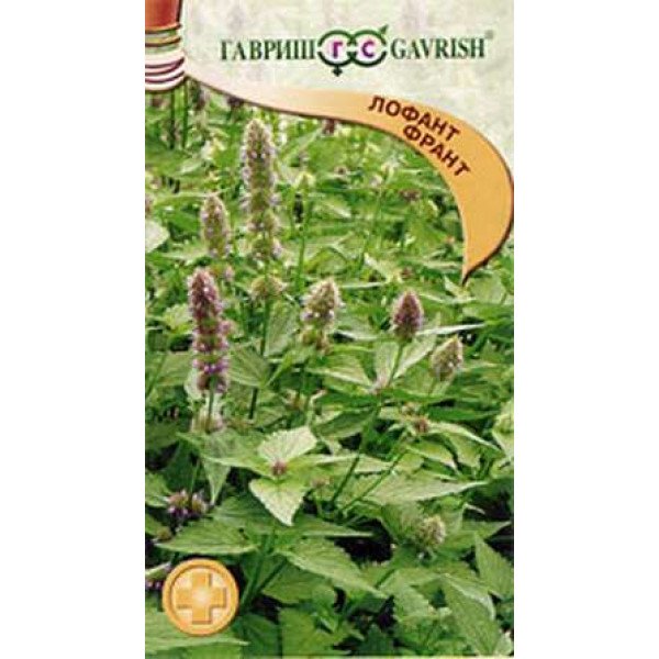 Семена лофанта Франт /0,3 г/ *Гавриш*