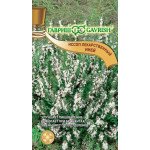 Ісопу Іній /0,2 г/ *Гавриш*