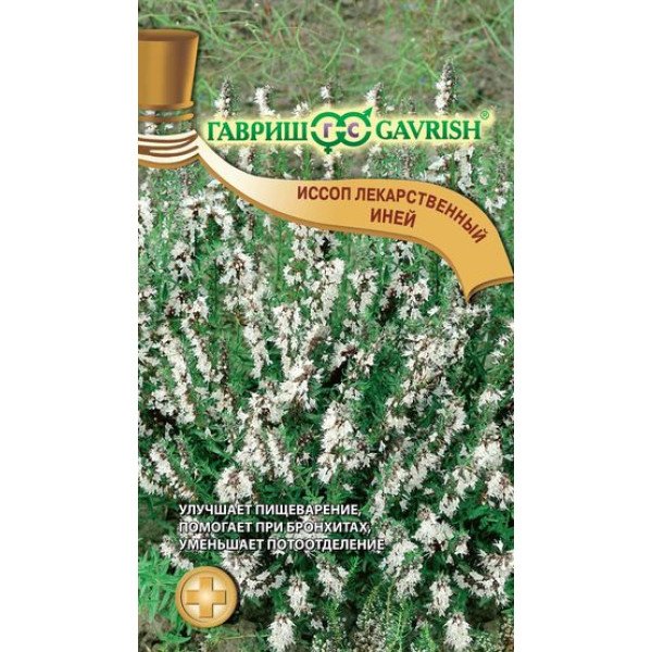 Семена иссопа Иней /0,2 г/ *Гавриш*