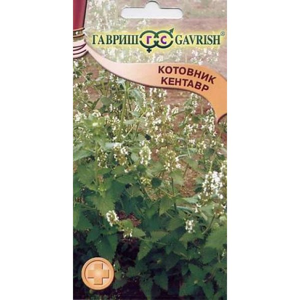 Семена котовника Кентавр /0,2 г/ *Гавриш*