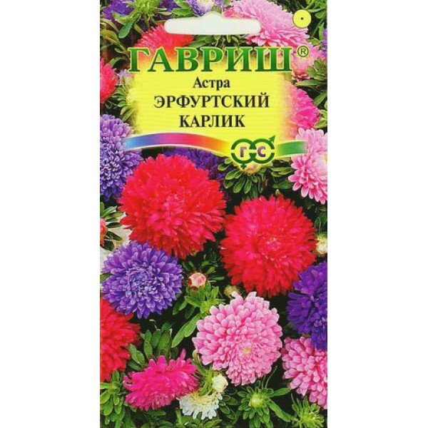 Насіння айстри Ерфуртський карлик суміш /0,3 г/ *Гавриш*