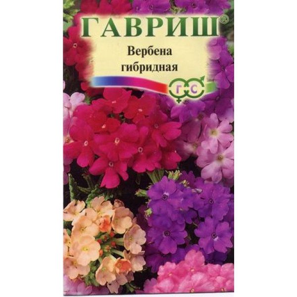 Насіння вербени Романс суміш /0,1 г/ *Гавриш*