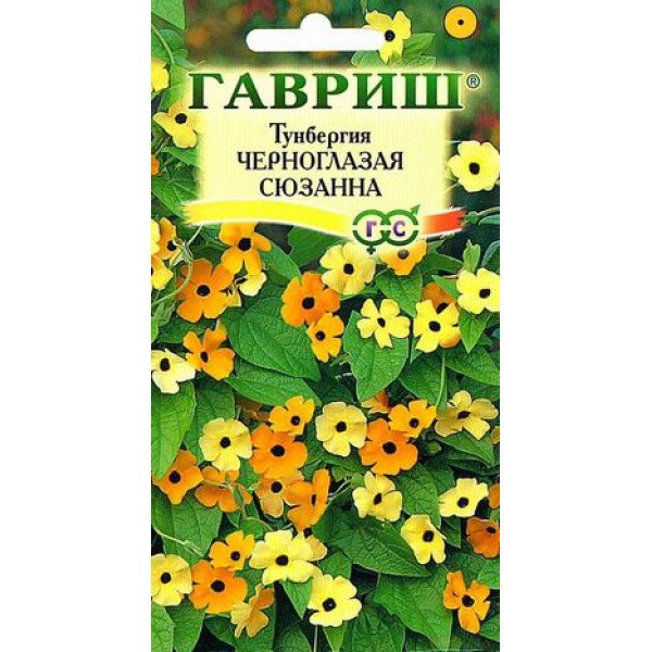 Насіння тунбергії крилатої Чорноока Сюзанна /0,3 г/ *Гавриш*